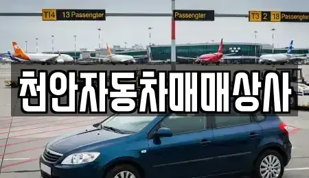 충청남도 천안시 서북구 부대동 중고차 전문 천안자동차매매상사