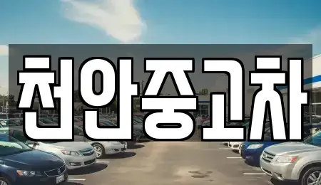 충청남도 천안시 서북구 부대동 중고차 전문 천안중고차