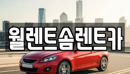 충청남도 천안시 서북구 쌍용동 렌트카 전문 월렌트솜렌트카
