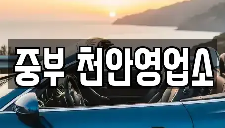 충청남도 천안시 서북구 쌍용동 렌트카 전문 중부 천안영업소