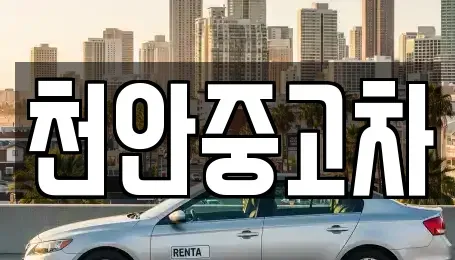 충청남도 천안시 서북구 쌍용동 중고차,렌트카,중고차매입,중고차매매,장기렌트카,단기렌트카