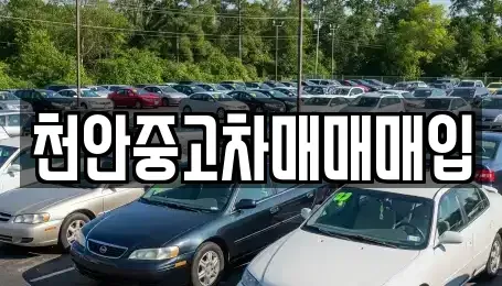 충청남도 천안시 서북구 쌍용동 중고차 전문 천안중고차매매매입