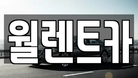 충청남도 천안시 서북구 직산읍 렌트카 전문 월렌트카