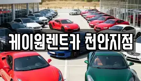 충청남도 천안시 서북구 직산읍 렌트카 전문 케이원렌트카 천안지점