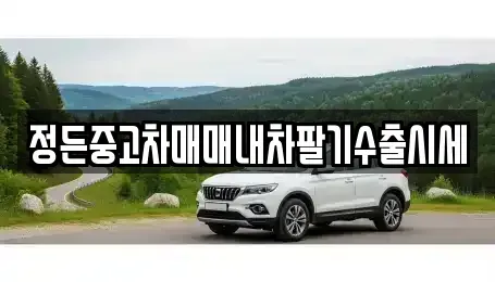 충청북도 음성군 소이면 중고차매매 전문 정든중고차매매내차팔기수출시세