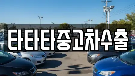 충청북도 음성군 소이면 중고차매매 전문 타타타중고차수출