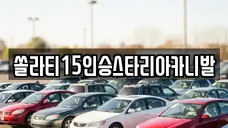 충청북도 제천시 금성면 렌트카 전문 쏠라티15인승스타리아카니발