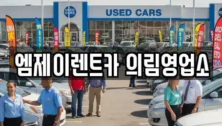 충청북도 제천시 렌트카 전문 엠제이렌트카 의림영업소