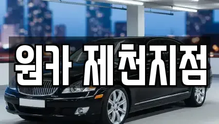 충청북도 제천시 렌트카 전문 원카 제천지점