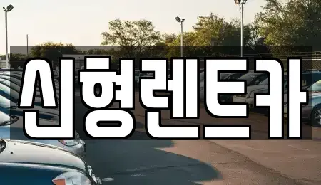 충청북도 제천시 명동 렌트카 전문 신형렌트카