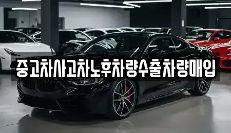 충청북도 제천시 명동 중고차매입 전문 중고차사고차노후차량수출차량매입