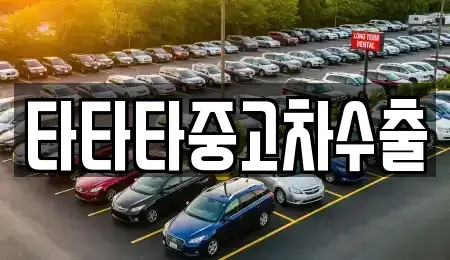 충청북도 진천군 문백면 중고차매매 전문 타타타중고차수출