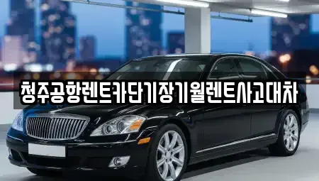 충청북도 청주시 단기렌트카 전문 청주공항렌트카단기장기월렌트사고대차