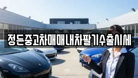 충청북도 청주시 상당구 가덕면 중고차 전문 정든중고차매매내차팔기수출시세