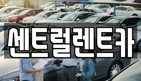 충청북도 청주시 상당구 남문로1가 렌트카 전문 센트럴렌트카
