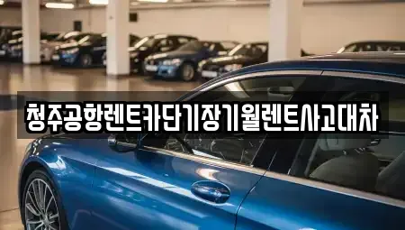 충청북도 청주시 상당구 남주동 단기렌트카,중고차매입,중고차매매,중고차,렌트카,장기렌트카