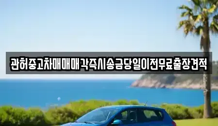 충청북도 청주시 상당구 남주동 중고차매매 전문 관허중고차매매매각즉시송금당일이전무료출장견적