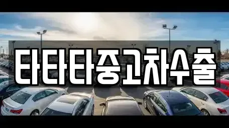 충청북도 청주시 상당구 남주동 중고차매매 전문 타타타중고차수출