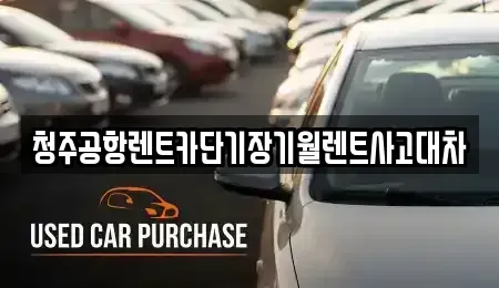 충청북도 청주시 서원구 성화동 단기렌트카 전문 청주공항렌트카단기장기월렌트사고대차