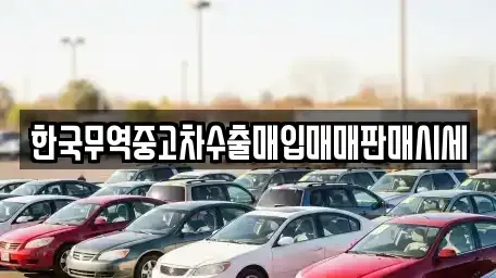 충청북도 청주시 서원구 성화동 중고차매매,단기렌트카,중고차매입,장기렌트카,중고차,렌트카