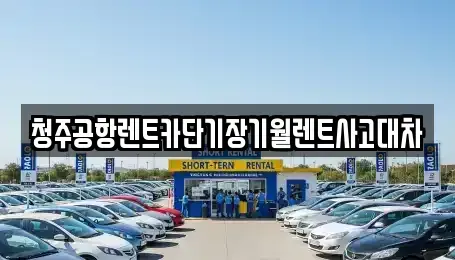 충청북도 청주시 서원구 수곡동 렌트카 전문 청주공항렌트카단기장기월렌트사고대차