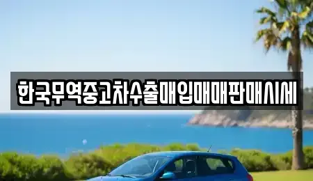 충청북도 청주시 서원구 수곡동 중고차매입 전문 한국무역중고차수출매입매매판매시세