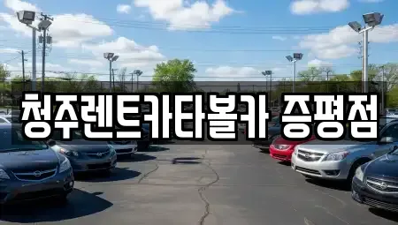 충청북도 청주시 청원구 북이면 장기렌트카 전문 청주렌트카타볼카 증평점