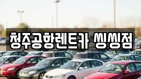충청북도 청주시 청원구 사천동 렌트카 전문 청주공항렌트카 씽씽점