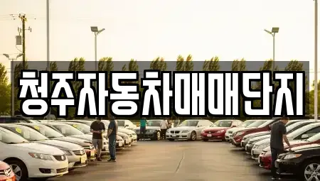 충청북도 청주시 청원구 사천동 중고차매매 전문 청주자동차매매단지