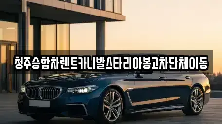 충청북도 청주시 흥덕구 운천동 렌트카 전문 청주승합차렌트카니발스타리아봉고차단체이동