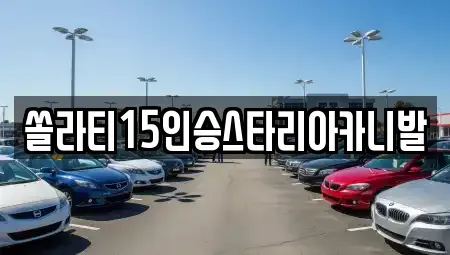 충청북도 충주시 호암동 렌트카 전문 쏠라티15인승스타리아카니발